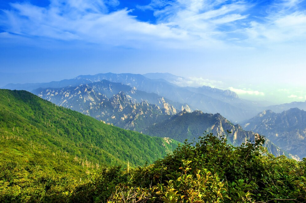 台灣最高的山是哪一座？完整解析台灣登山高度排行榜